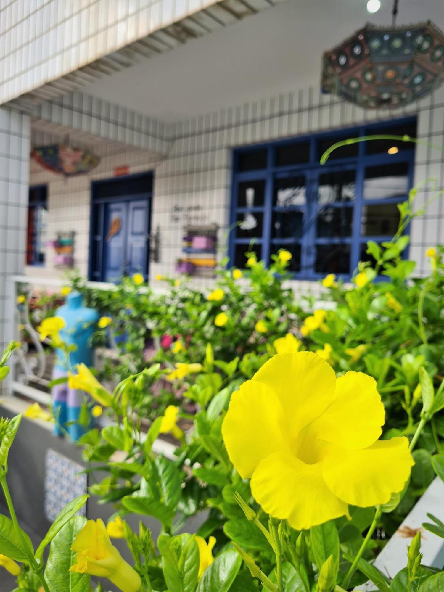 Soul Hostel 纳塔耳 外观 照片